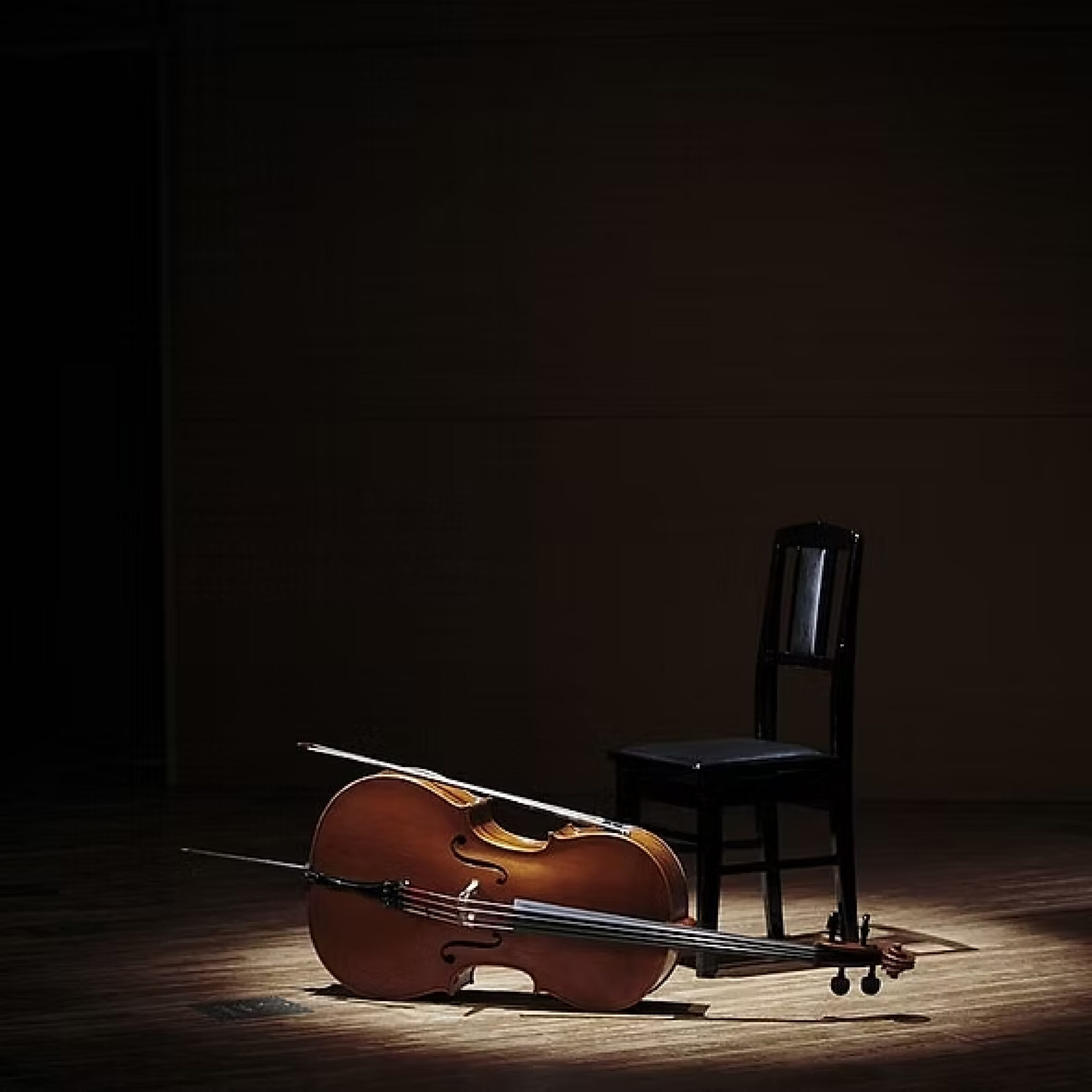 Il fascino del violoncello - una giovanissima violoncellista italiana